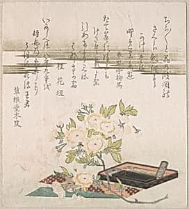 Branch with Cherry Flowers, Writing Box and Sheet of Paper for Poem Writing (Tanzaku) by Unidentified artist