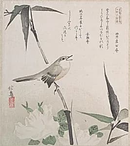 Roses and Bamboo with Nightingale by Teisai Hokuba