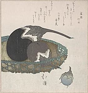 Eggplants in a Basket by Totoya Hokkei
