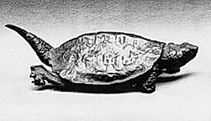 Ornament in the Form of a Tortoise by Unknown Artist