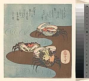 Crabs Near the Water's Edge by Yashima Gakutei