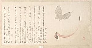 Flower-Vase of Horn and a Butterfly by Kubo Shunman