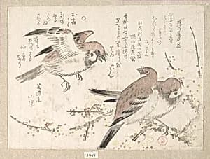 Sparrows and Plum Blossoms by Kubo Shunman