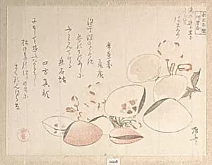 Cherry Blossoms and Shells by Ryūryūkyo Shinsai