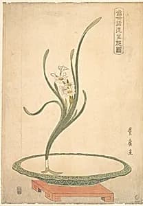 Flower Arrangement of Suisen (Narcissus) in a Flat Green Dish by Utagawa Toyohiro