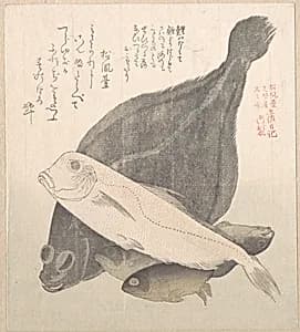 Flounder and Other Fishes by Kubo Shunman