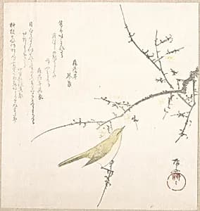 New Moon; Nightingale on a Plum Branch by Ryūryūkyo Shinsai