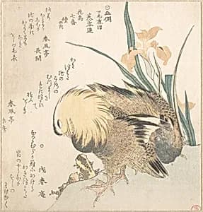 Pair of Mandarin Ducks and Iris Flowers by Kubo Shunman