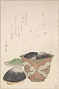 Bowl with Black Shells and Udo Plant by Unidentified artist
