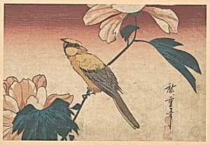 Hibiscus Mutabilis and Jay by Utagawa Hiroshige