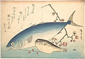 Fugu and Inada Fish, from the series Uozukushi (Every Variety of Fish) by Utagawa Hiroshige