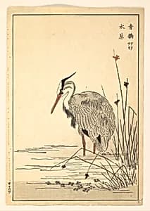 Gray Heron (Aosagi) and Mizu-aoi Plant by Unidentified artist