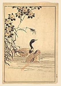 A Pair of Geese with Camellias by Unidentified artist