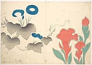 Design of Morning–glory and Other Flowers by Ogata Kōrin