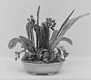 Dish of Artificial Plants by Unknown Artist