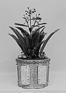 Pot with Plant by Unknown Artist