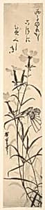 Black and White Print of Butterfly and Flower (a Pink) by Utagawa Hiroshige