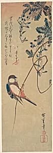 Bird and Wisteria by Utagawa Hiroshige