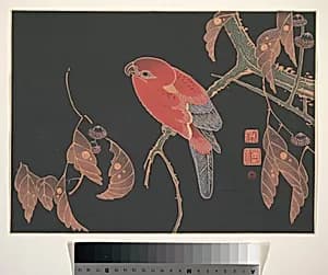Red Parrot on the Branch of a Tree by Itō Jakuchū
