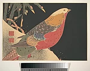 Golden Pheasant in the Snow by Itō Jakuchū