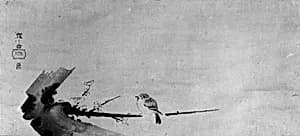 Sparrow on Plum Branch (Ume ni Suzume) by Shōkadō Shōjō