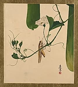 Lacquer Paintings of Various Subjects: Grasshopper on Gourd Vine by Shibata Zeshin