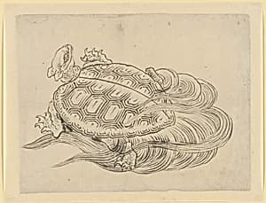 Sea Turtle (Emblem of Longevity) by Katsushika Hokusai