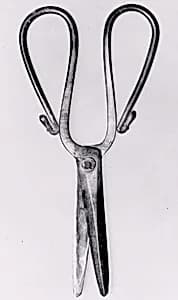 Scissors by Unknown Artist