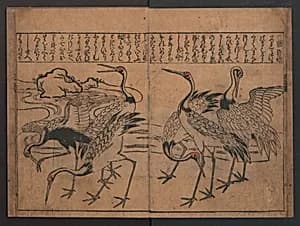 Illustrations of Birds and Flowers (Kachō e-zukushi) 花鳥絵づくし by Hishikawa Moronobu 菱川師宣