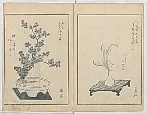 A Book on Flower Arrangement: Hare's-Foot Fern (Shinobugusa) 師廼部供作 (vol. 2); 思乃父魚砂 (vol. 3) by Yoshida Tôgetsu