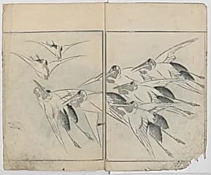 Sonan's Picture Book (Sonan gafu) 楚南画譜 by Onishi Chinnen