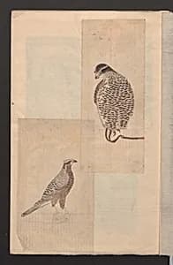 Album of Sketches for Lacquer Decoration (Makie shitae no zu) 蒔絵下絵の図 by Unidentified artist
