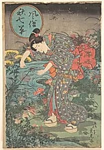 Fashionable Seven Autumn Plants (Fūzoku aki nanakusa) by Toyohara Sadatora