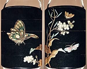Case (Inrō) with Design of Moth and Butterflies beside Flowering Mustard Plant by Unknown Artist