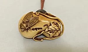 Gourd and Cicada by Unknown Artist