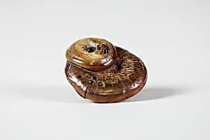 Netsuke of Mushroom Eaten by Insects by Unknown Artist