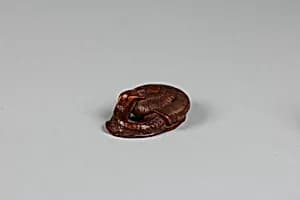 Netsuke of Snail by Unknown Artist