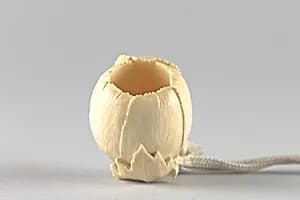 Netsuke of Blossom by Unknown Artist