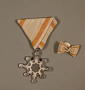 Medal and Button by Unknown Artist