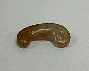 Tiger Claw Jewel by Unknown Artist
