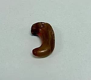 Tiger Claw Jewel by Unknown Artist