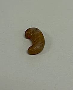 Tiger Claw Jewel by Unknown Artist