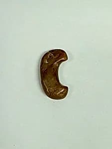 Tiger Claw Jewel by Unknown Artist