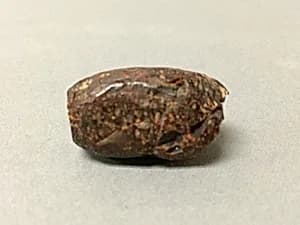 Bead by Unknown Artist