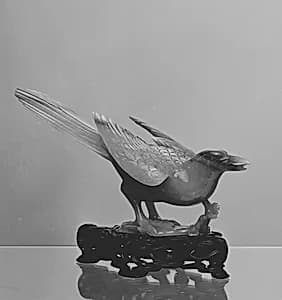 Magpie by Unknown Artist
