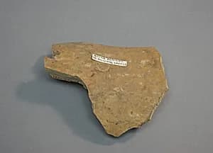 Piece of Gourd Material for Polishing Wheel by Unknown Artist