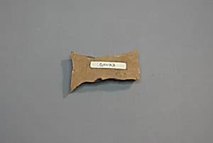 Piece of Gourd Material for Polishing Wheel by Unknown Artist