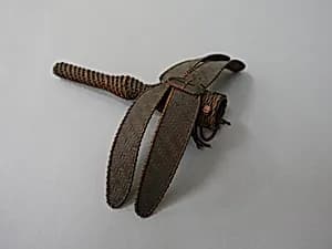 Ornament (?) by Unknown Artist