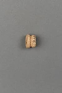 Arrowheads, needles, hooks and harpoons by Unknown Artist