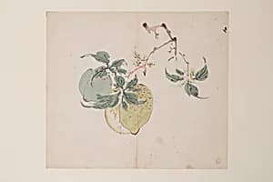 Page from the Ten Bamboo Studio Manual of Painting and Calligraphy by Hu Zhengyan